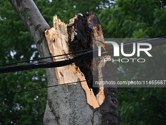 A large tree is damaging a fence, causing power lines to come down, and causing severe damage to a home during severe weather impacting the...