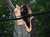 A large tree is damaging a fence, causing power lines to come down, and causing severe damage to a home during severe weather impacting the...