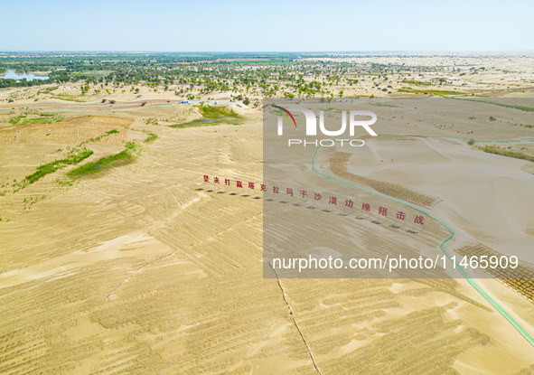 A photo is showing the desertification prevention demonstration zone in the Weili section of the middle and lower reaches of Tarim River in...