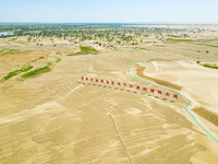 A photo is showing the desertification prevention demonstration zone in the Weili section of the middle and lower reaches of Tarim River in...