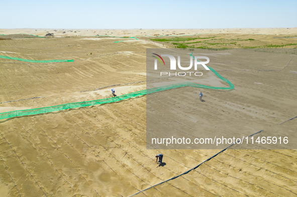 Guards are maintaining drip irrigation facilities at the Weili Section of the middle and lower reaches of Tarim River in Bazhou, Xinjiang pr...