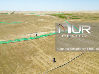 Guards are maintaining drip irrigation facilities at the Weili Section of the middle and lower reaches of Tarim River in Bazhou, Xinjiang pr...