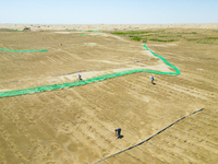 Guards are maintaining drip irrigation facilities at the Weili Section of the middle and lower reaches of Tarim River in Bazhou, Xinjiang pr...