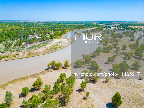 The meandering Tarim River is nourishing vegetation along its banks in the Weili section of the middle and lower reaches of the Tarim River...