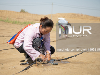 Guards are maintaining drip irrigation facilities at the Weili Section of the middle and lower reaches of Tarim River in Bazhou, Xinjiang pr...