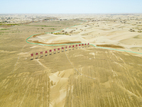 A photo is showing the desertification prevention demonstration zone in the Weili section of the middle and lower reaches of Tarim River in...