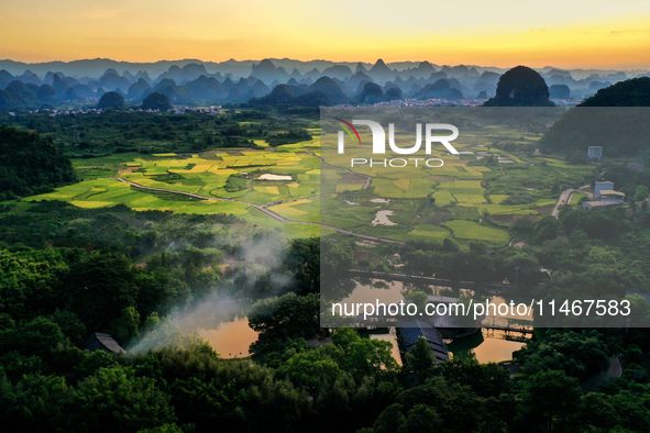 A photo is showing mature rice fields in Wulongquan village, Yangshuo County, Guilin, China, on August 6, 2024. 