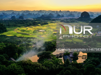 A photo is showing mature rice fields in Wulongquan village, Yangshuo County, Guilin, China, on August 6, 2024. (