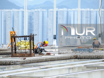 Workers are working at the construction site of Jinzhou Bridge in Xingyi, China, on August 11, 2024. (