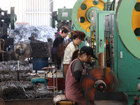 Workers of an enterprise are producing scissors on the production line at Yanshan Ocean Knife and Scissors Industrial Park in Zherong County...