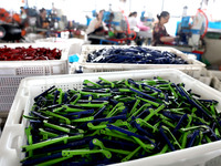 Workers of an enterprise are producing scissors on the production line at Yanshan Ocean Knife and Scissors Industrial Park in Zherong County...