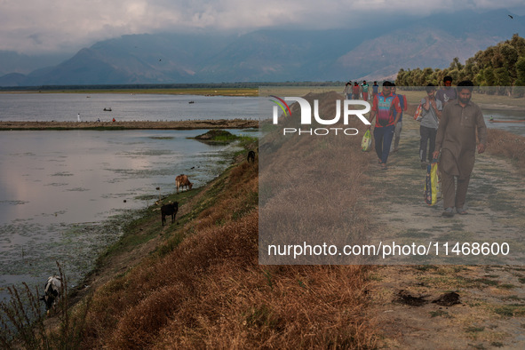 Fishermen are walking back after completing their day's work at Wular Lake in Sopore, Jammu and Kashmir, India, on August 11, 2024. 