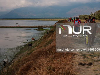 Fishermen are walking back after completing their day's work at Wular Lake in Sopore, Jammu and Kashmir, India, on August 11, 2024. (