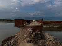 An ox and a cow are standing on an iron bridge on a hot and humid day in Sopore, Jammu and Kashmir, India, on August 11, 2024. (