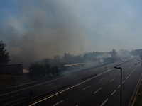 A fire is breaking out in Naples, Italy, on Sunday, in the Capodichino Airport area. The cloud of smoke is invading the A56 at the height of...