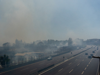 A fire is breaking out in Naples, Italy, on Sunday, in the Capodichino Airport area. The cloud of smoke is invading the A56 at the height of...