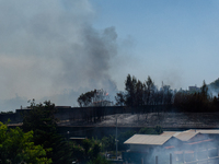 A fire is breaking out in Naples, Italy, on Sunday, in the Capodichino Airport area. The cloud of smoke is invading the A56 at the height of...