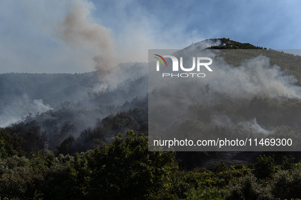 A large forest fire is breaking out on Sunday afternoon on Monte Pendolo, between the municipalities of Gragnano and Pimonte in the Naples a...