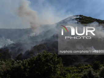 A large forest fire is breaking out on Sunday afternoon on Monte Pendolo, between the municipalities of Gragnano and Pimonte in the Naples a...