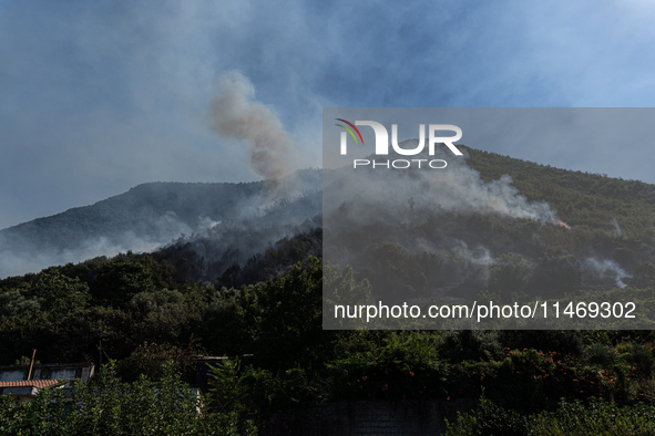 A large forest fire is breaking out on Sunday afternoon on Monte Pendolo, between the municipalities of Gragnano and Pimonte in the Naples a...