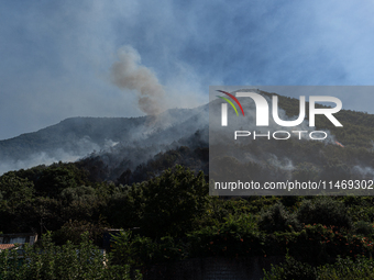 A large forest fire is breaking out on Sunday afternoon on Monte Pendolo, between the municipalities of Gragnano and Pimonte in the Naples a...