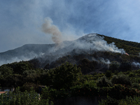 A large forest fire is breaking out on Sunday afternoon on Monte Pendolo, between the municipalities of Gragnano and Pimonte in the Naples a...