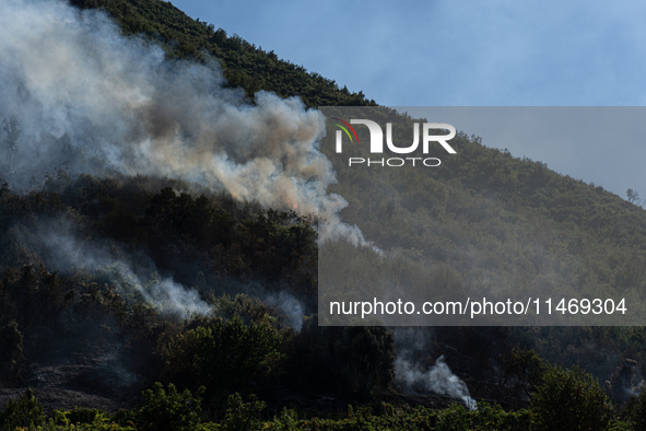 A large forest fire is breaking out on Sunday afternoon on Monte Pendolo, between the municipalities of Gragnano and Pimonte in the Naples a...