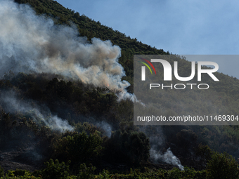 A large forest fire is breaking out on Sunday afternoon on Monte Pendolo, between the municipalities of Gragnano and Pimonte in the Naples a...