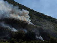 A large forest fire is breaking out on Sunday afternoon on Monte Pendolo, between the municipalities of Gragnano and Pimonte in the Naples a...