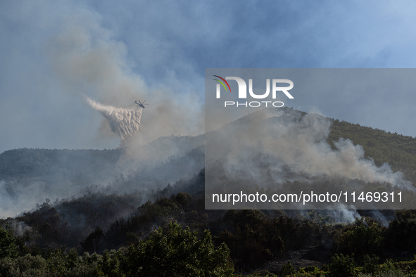 A large forest fire is breaking out on Sunday afternoon on Monte Pendolo, between the municipalities of Gragnano and Pimonte in the Naples a...