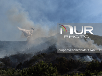 A large forest fire is breaking out on Sunday afternoon on Monte Pendolo, between the municipalities of Gragnano and Pimonte in the Naples a...