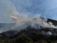 A large forest fire is breaking out on Sunday afternoon on Monte Pendolo, between the municipalities of Gragnano and Pimonte in the Naples a...