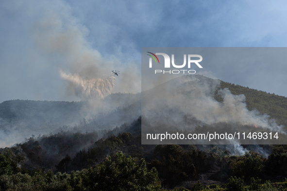 A large forest fire is breaking out on Sunday afternoon on Monte Pendolo, between the municipalities of Gragnano and Pimonte in the Naples a...