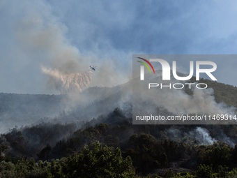 A large forest fire is breaking out on Sunday afternoon on Monte Pendolo, between the municipalities of Gragnano and Pimonte in the Naples a...