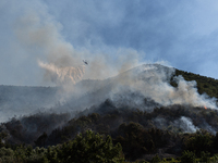 A large forest fire is breaking out on Sunday afternoon on Monte Pendolo, between the municipalities of Gragnano and Pimonte in the Naples a...