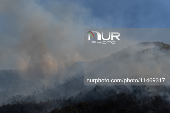 A large forest fire is breaking out on Sunday afternoon on Monte Pendolo, between the municipalities of Gragnano and Pimonte in the Naples a...