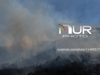 A large forest fire is breaking out on Sunday afternoon on Monte Pendolo, between the municipalities of Gragnano and Pimonte in the Naples a...