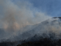 A large forest fire is breaking out on Sunday afternoon on Monte Pendolo, between the municipalities of Gragnano and Pimonte in the Naples a...