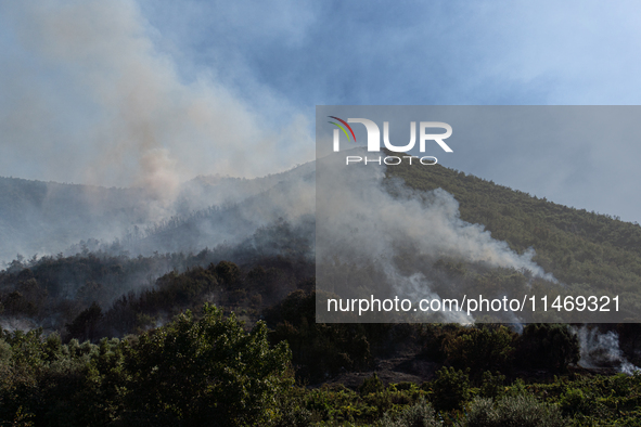 A large forest fire is breaking out on Sunday afternoon on Monte Pendolo, between the municipalities of Gragnano and Pimonte in the Naples a...