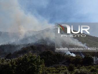 A large forest fire is breaking out on Sunday afternoon on Monte Pendolo, between the municipalities of Gragnano and Pimonte in the Naples a...