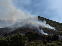 A large forest fire is breaking out on Sunday afternoon on Monte Pendolo, between the municipalities of Gragnano and Pimonte in the Naples a...