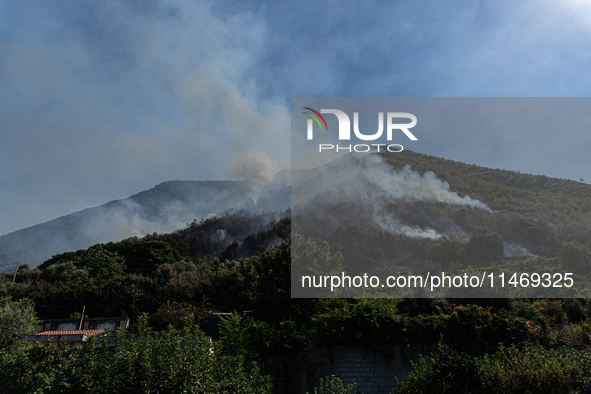 A large forest fire is breaking out on Sunday afternoon on Monte Pendolo, between the municipalities of Gragnano and Pimonte in the Naples a...