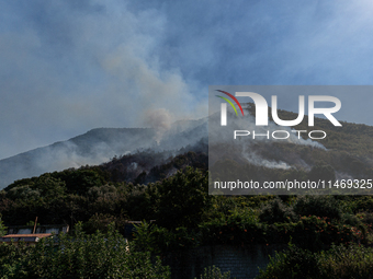 A large forest fire is breaking out on Sunday afternoon on Monte Pendolo, between the municipalities of Gragnano and Pimonte in the Naples a...