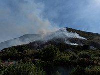 A large forest fire is breaking out on Sunday afternoon on Monte Pendolo, between the municipalities of Gragnano and Pimonte in the Naples a...