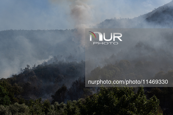 A large forest fire is breaking out on Sunday afternoon on Monte Pendolo, between the municipalities of Gragnano and Pimonte in the Naples a...