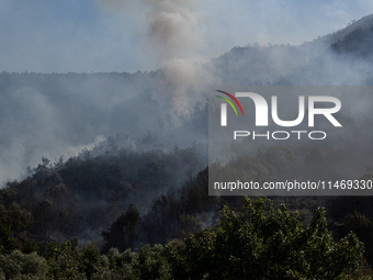 A large forest fire is breaking out on Sunday afternoon on Monte Pendolo, between the municipalities of Gragnano and Pimonte in the Naples a...