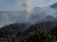 A large forest fire is breaking out on Sunday afternoon on Monte Pendolo, between the municipalities of Gragnano and Pimonte in the Naples a...