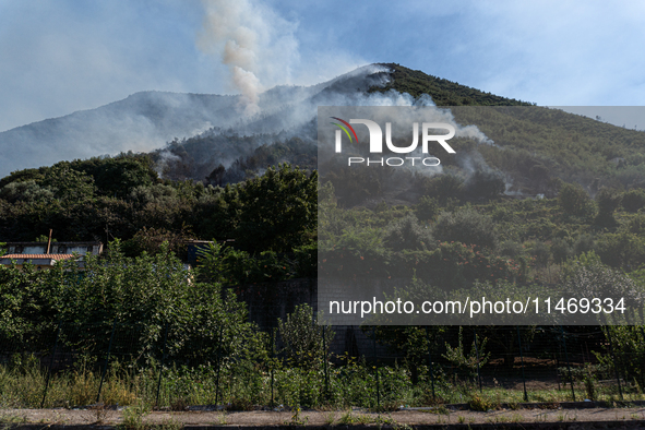 A large forest fire is breaking out on Sunday afternoon on Monte Pendolo, between the municipalities of Gragnano and Pimonte in the Naples a...