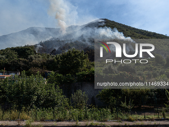 A large forest fire is breaking out on Sunday afternoon on Monte Pendolo, between the municipalities of Gragnano and Pimonte in the Naples a...