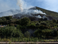 A large forest fire is breaking out on Sunday afternoon on Monte Pendolo, between the municipalities of Gragnano and Pimonte in the Naples a...